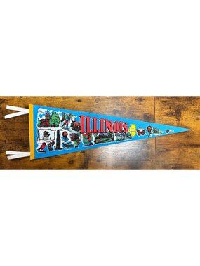 Vintage Illinois state pennant